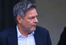 Habeck schlägt "Gründungsstartzeit" für neue Unternehmen vor