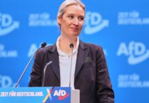 AfD stellt Windrad-Äußerung von Weidel klar