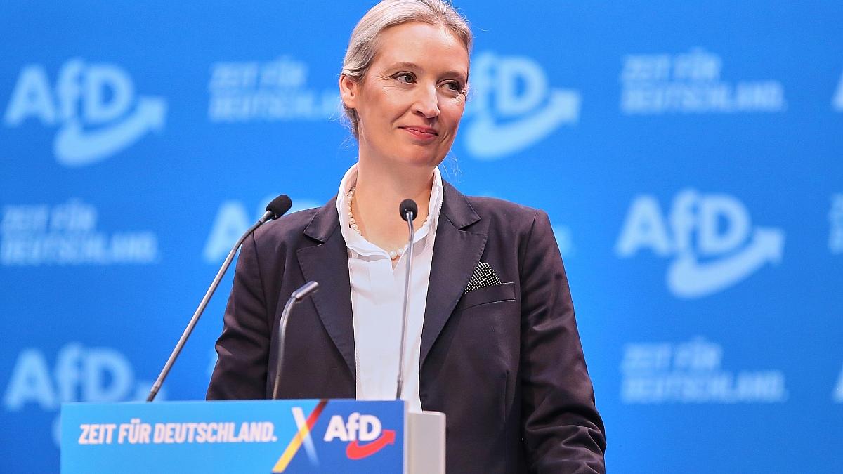 AfD stellt Windrad-Äußerung von Weidel klar