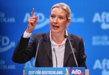 Weidel verteidigt Steuersenkungen für Top-Verdiener