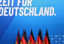 Spahn: AfD hat keine Angst mehr vor "Nazi-Keule"