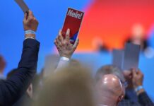 AfD uneins über Merz-Angebot