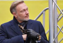 Lindner hofft auf Zustimmung von SPD und Grünen zu Asylgesetz