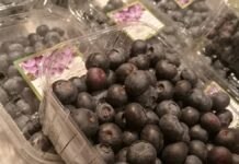 Strauchbeerenernte 2024 um über ein Zehntel gesunken