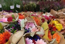 Umweltverbände warnen vor Blumengeschenken zum Valentinstag