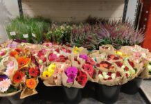Preise für Schnittblumen und Pralinen gestiegen