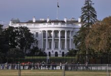 Trump erwartet bessere Beziehungen mit Kiew durch Rohstoffabkommen