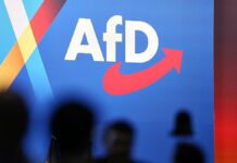 Bericht: AfD erbt weitere 6 Millionen Euro