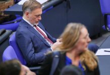 Lindner schließt Koalition mit Grünen aus