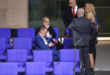 Mittelstands-Berater warnt Unternehmer vor AfD