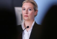 Insa: AfD und FDP verlieren – Linke legt zu