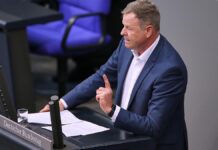 Grüne und Linke wollen keinen AfD-Bundestagsvizepräsidenten wählen