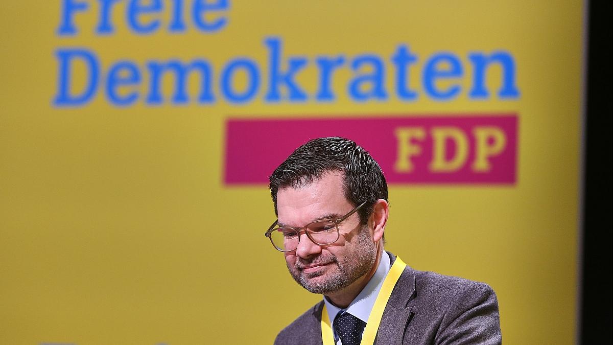 Buschmann bekräftigt Ablehnung von Koalition mit den Grünen