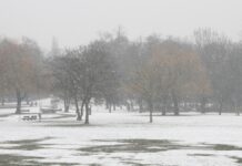 Winter erneut zu mild und zu trocken