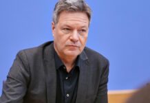 Habeck will bei den Grünen keine Führungsrolle mehr übernehmen