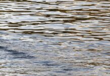 Deutsche Wirtschaft nutzt weniger Wasser