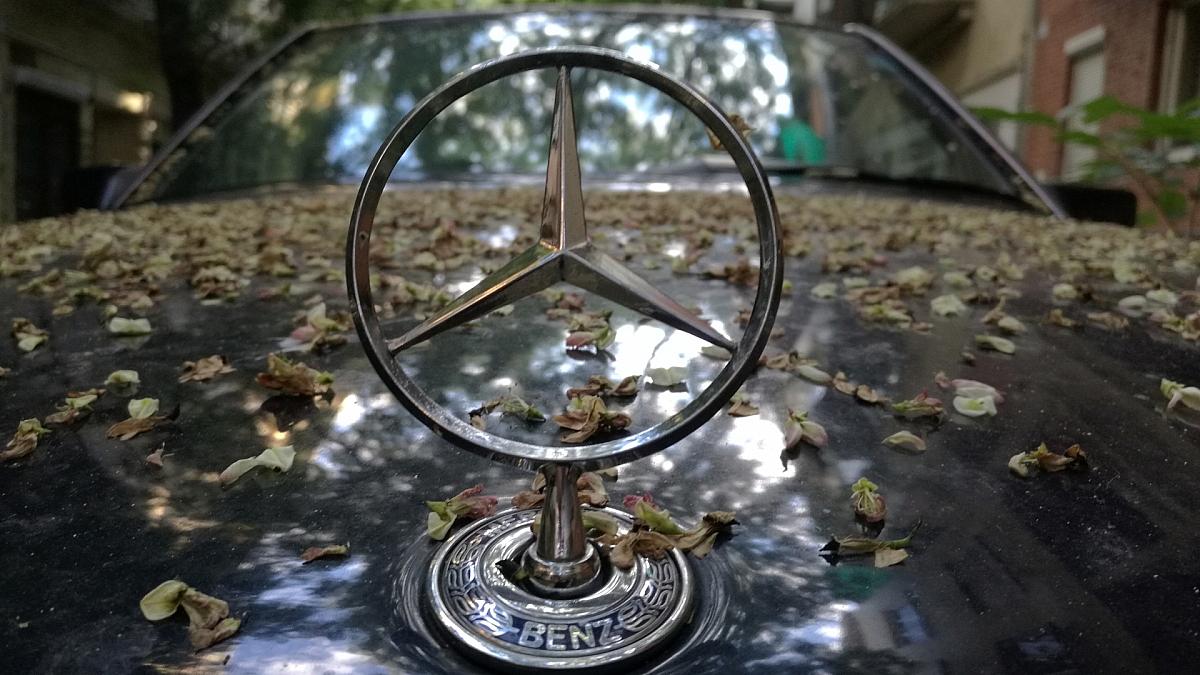 Mercedes-Chef fordert Ende aller Auto-Zölle