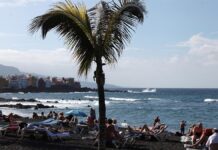 Sarah Connor verlangt Ende von Orca-Shows auf Teneriffa