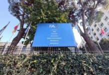 FAO mahnt zu härterem Vorgehen gegen Vogelgrippe