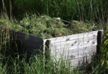 Deutsche gärtnern im Schnitt zwölf Minuten am Tag