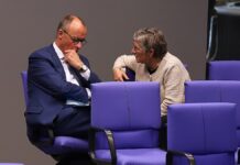 Merz bedauert Mailbox-Nachricht an Haßelmann