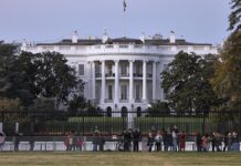 Trump verhängt Zölle von 25 Prozent auf Auto-Importe