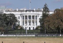 Trump will ukrainische Atomkraftwerke übernehmen