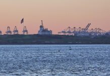 EVP-Chef: Trump-Pläne zerstören "Idee des freien Welthandels"