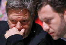 Grünen-Chef sieht Habeck-Rückzug als "konsequent" an