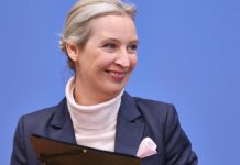 EVP-Chef: Weidel verkauft deutsche Interessen an die USA