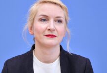 Linke kritisiert Schuldenvorschlag der Grünen