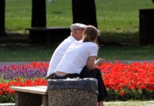 Studie: Flat-Tax-Erbschaftsteuer führt zu hohen Mindereinnahmen