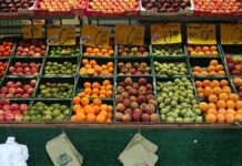 Erzeugerpreise landwirtschaftlicher Produkte im Februar gestiegen