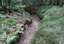 Weltkriegsende: Ukraine warnt vor Feiern mit russischen Vertretern