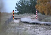 Merz: Abstimmung mit Nachbarländern über Zurückweisungen läuft