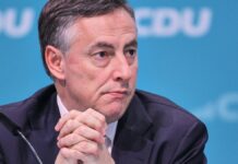 McAllister verspricht zielgerichtete Gegenmaßnahmen gegen US-Zölle