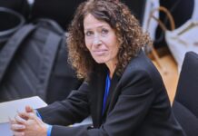 Berliner Grüne wollen Emissionshandel für Klimaanpassung nutzen