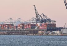 BDI sieht Europa im Zollstreit in starker Verhandlungsposition