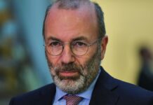 EVP-Chef warnt vor "Desaster" durch AfD-Politik