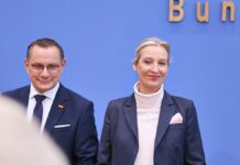 Forsa: AfD bleibt stärkste Kraft – Union fällt weiter