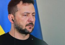 Persönliches Treffen zwischen Selenskyj und Putin bahnt sich an