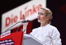 Schwerdtner will Linke als "Partei der Klasse" aufstellen Schwerdtner will Linke als "Partei der Klasse" aufstellen
