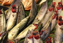 Fischerzeugung in Aquakulturbetrieben leicht gesunken