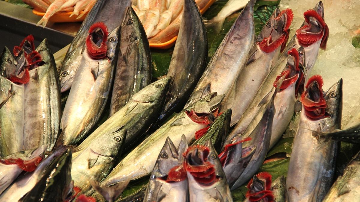 Fischerzeugung in Aquakulturbetrieben leicht gesunken