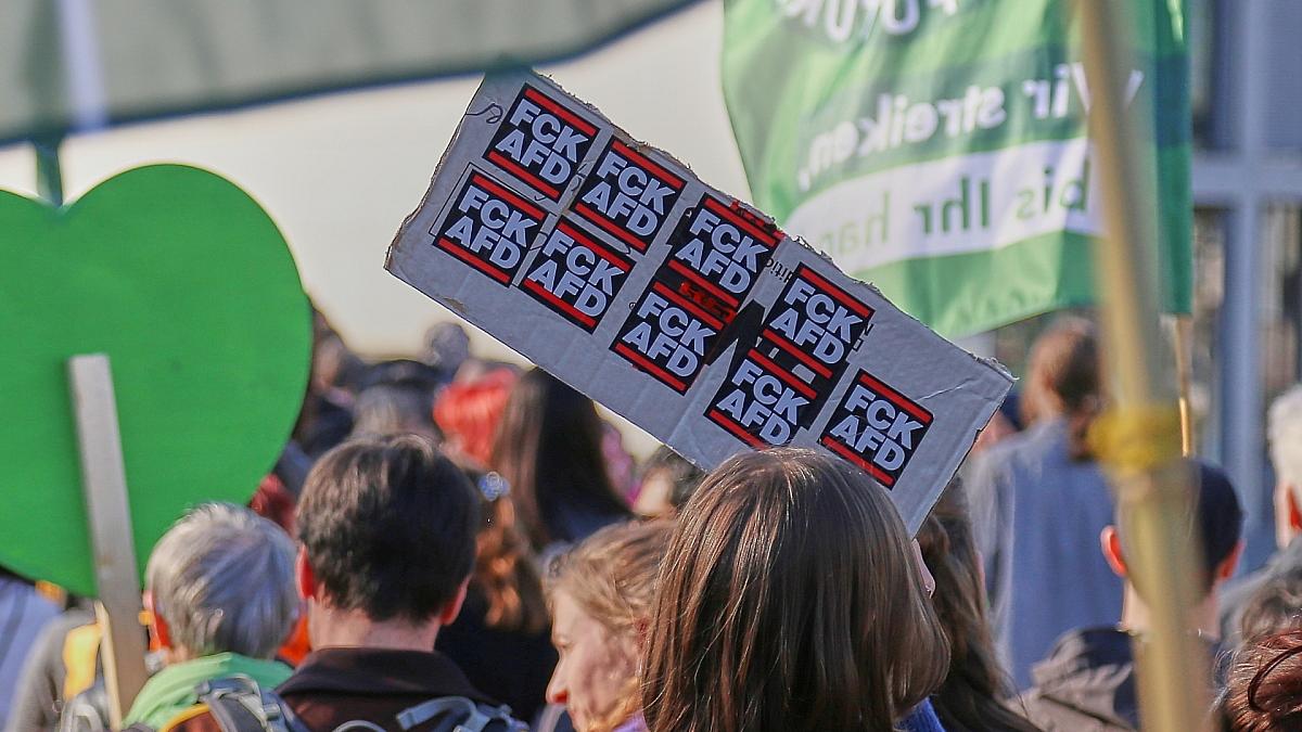 Insa: Mehrheit für AfD-Verbot
