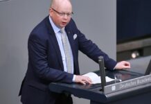 SSW-Abgeordneter Seidler strebt Initiative für AfD-Verbot an SSW-Abgeordneter Seidler strebt Initiative für AfD-Verbot an