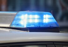 Cybercrime-Razzia: Haftbefehle gegen 20 mutmaßliche Hintermänner