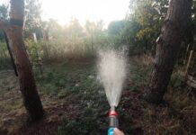 Kommunen fordern Bewässerungsverbote im Freizeitbereich