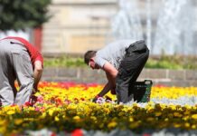 Linke fordert Hitzefrei für Arbeitnehmer