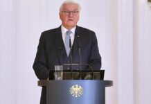 Steinmeier kondoliert nach Flugzeugabsturz in Indien